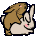 :bunnys: